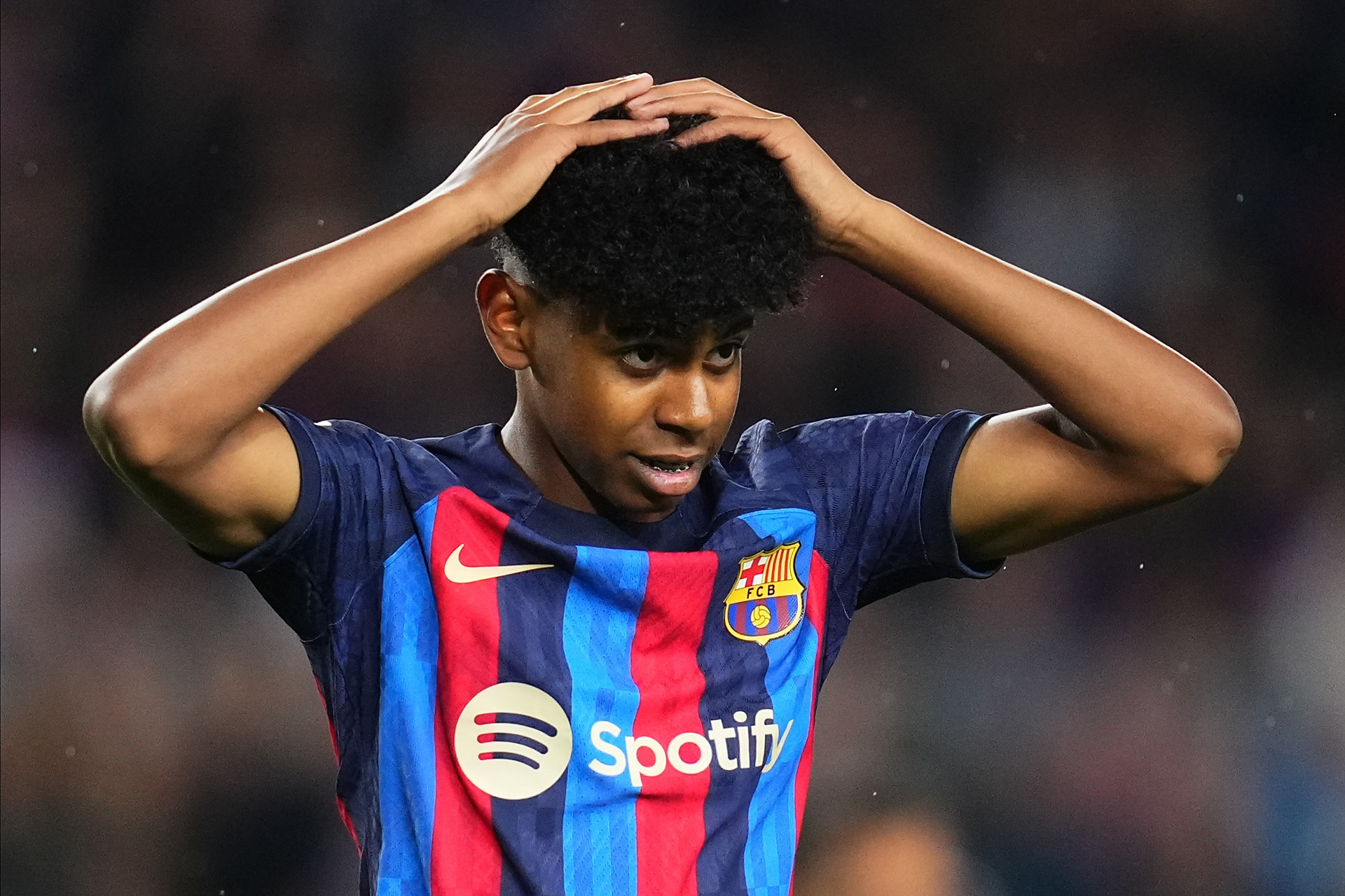 功能型边翼 功能型边翼